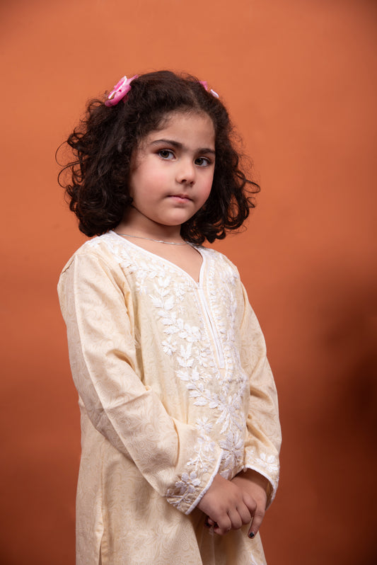 chikankari kids wear dress
