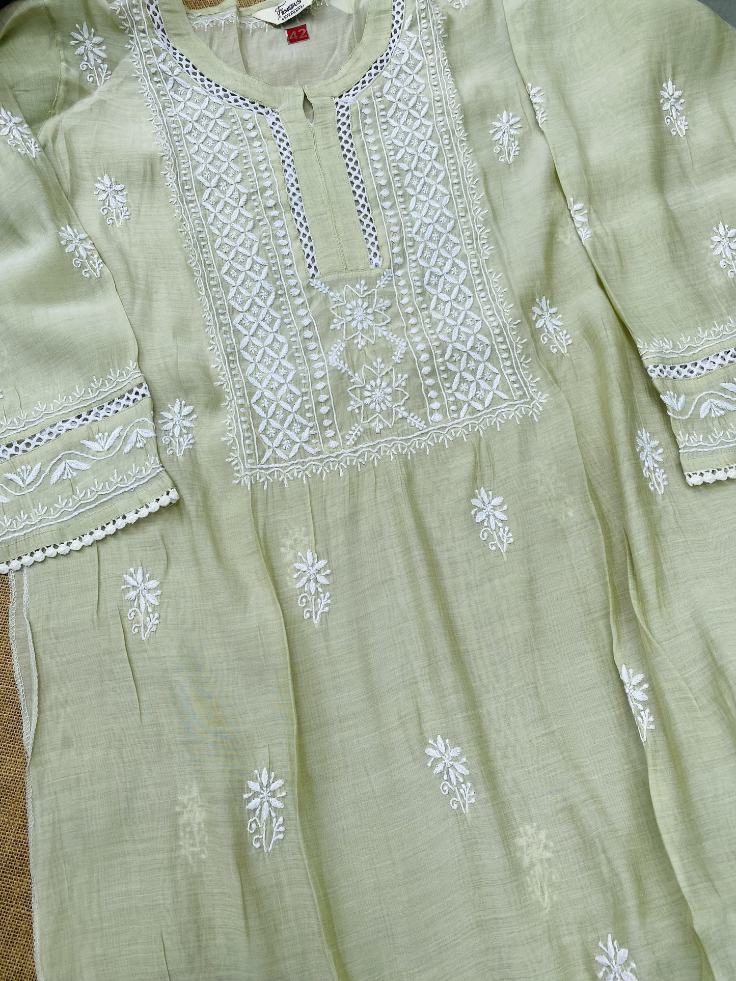 Alina – The Timeless Chikankari Semi Stitched Co-ord Set