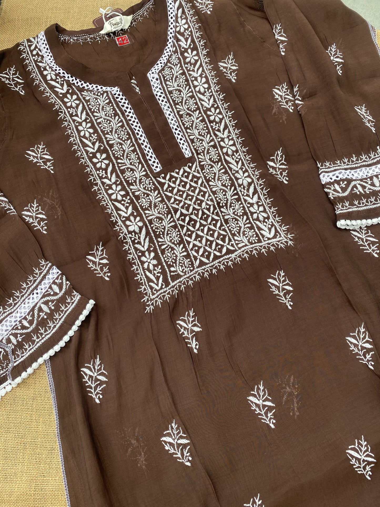 Alina – The Timeless Chikankari Semi Stitched Co-ord Set