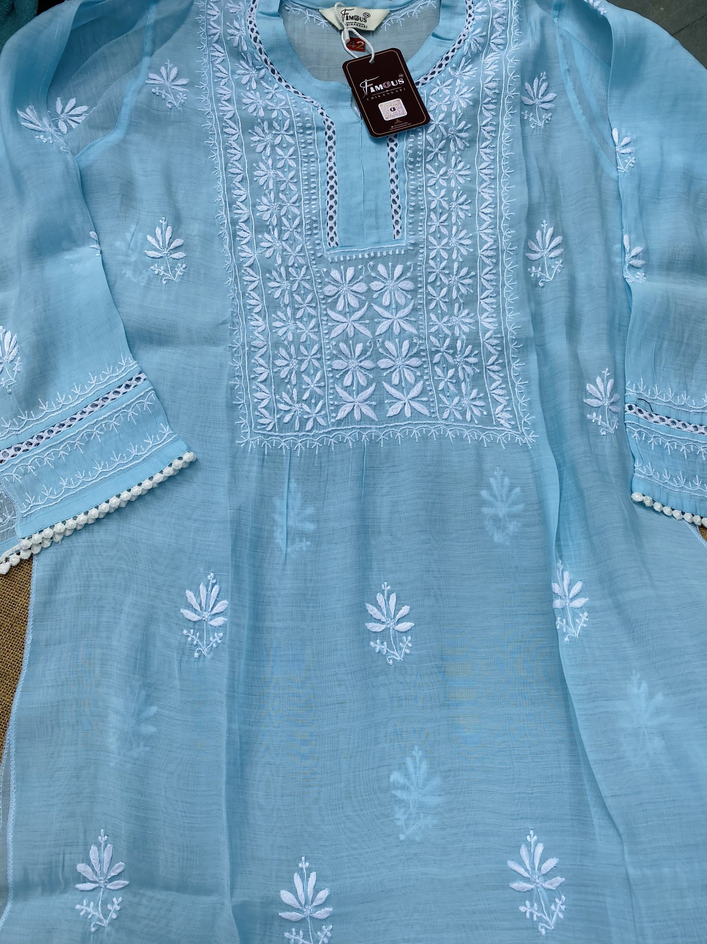 Alina – The Timeless Chikankari Semi Stitched Co-ord Set