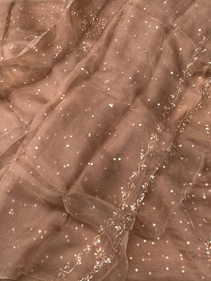 Zarqa-e-Noor – Pure Organza Handcrafted Mukaish Unstitched Suit