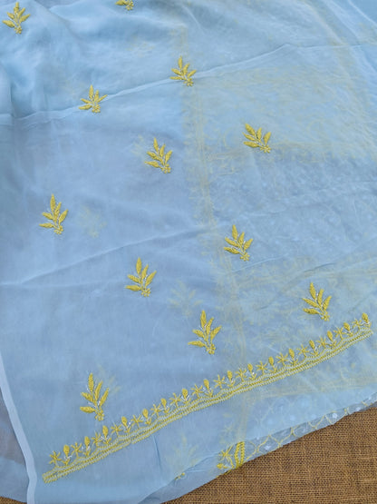 Areeba Powder Blue Chikankari Unstitched Kurta Dupatta