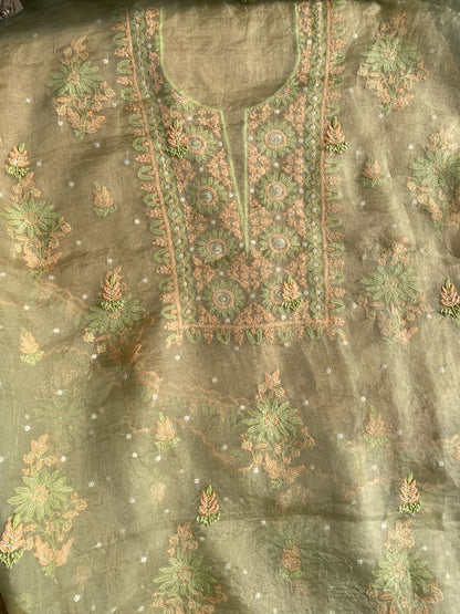 Meher Premium Organza Chikankari Unstiched Dress- Olive Green - Famous Chikankari