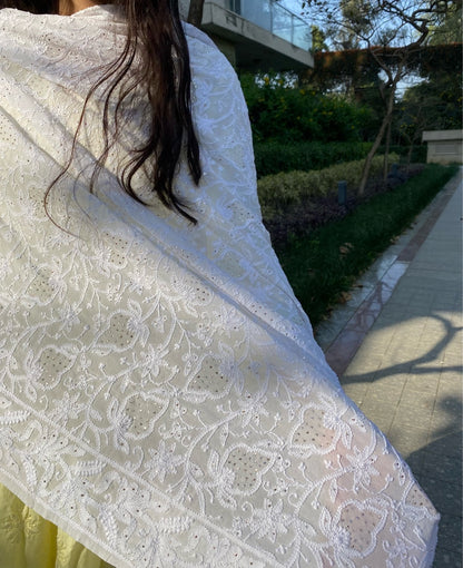Suroor Chikankari Mukaish Jaalwork Dupatta - Famous Chikankari