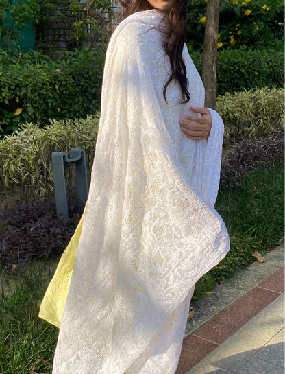 Suroor Chikankari Mukaish Jaalwork Dupatta - Famous Chikankari