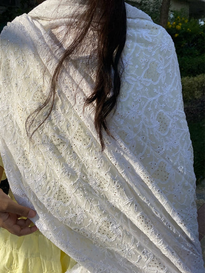 Suroor Chikankari Mukaish Jaalwork Dupatta - Famous Chikankari