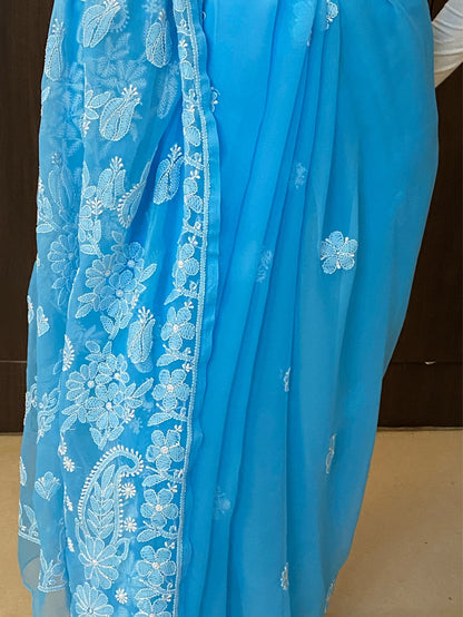 Blue Chikankari Resham Embroidered Saree - Famous Chikankari