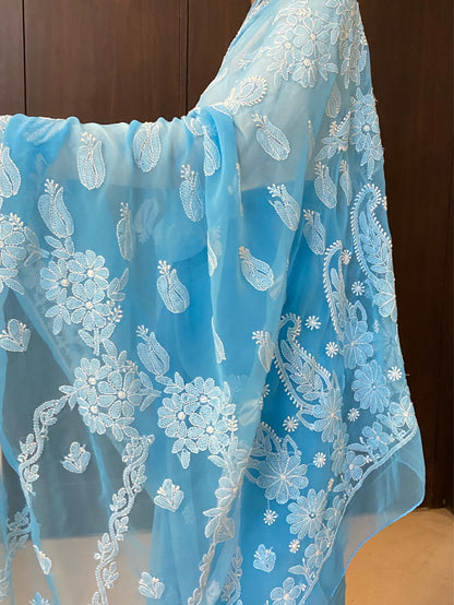 Blue Chikankari Resham Embroidered Saree - Famous Chikankari