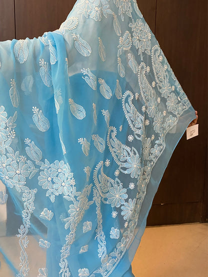 Blue Chikankari Resham Embroidered Saree - Famous Chikankari