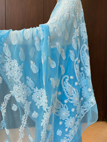 Blue Chikankari Resham Embroidered Saree - Famous Chikankari