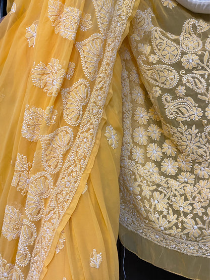 Mango Yellow Chikankari Skirt Embroidered Saree - Famous Chikankari