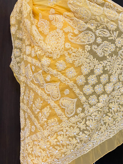 Mango Yellow Chikankari Skirt Embroidered Saree - Famous Chikankari