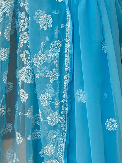 Blue Chikankari White Embroidered Saree - Famous Chikankari