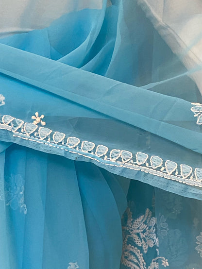 Blue Chikankari White Embroidered Saree - Famous Chikankari