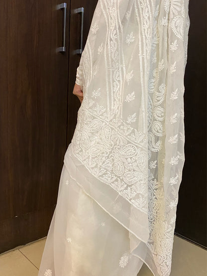 White Chikankari White Embroidered Saree - Famous Chikankari