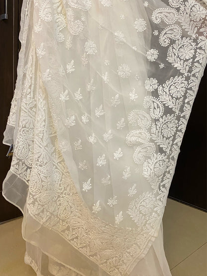 White Chikankari White Embroidered Saree - Famous Chikankari