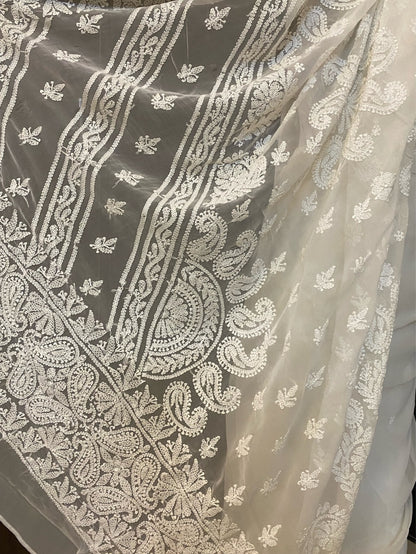 White Chikankari White Embroidered Saree - Famous Chikankari