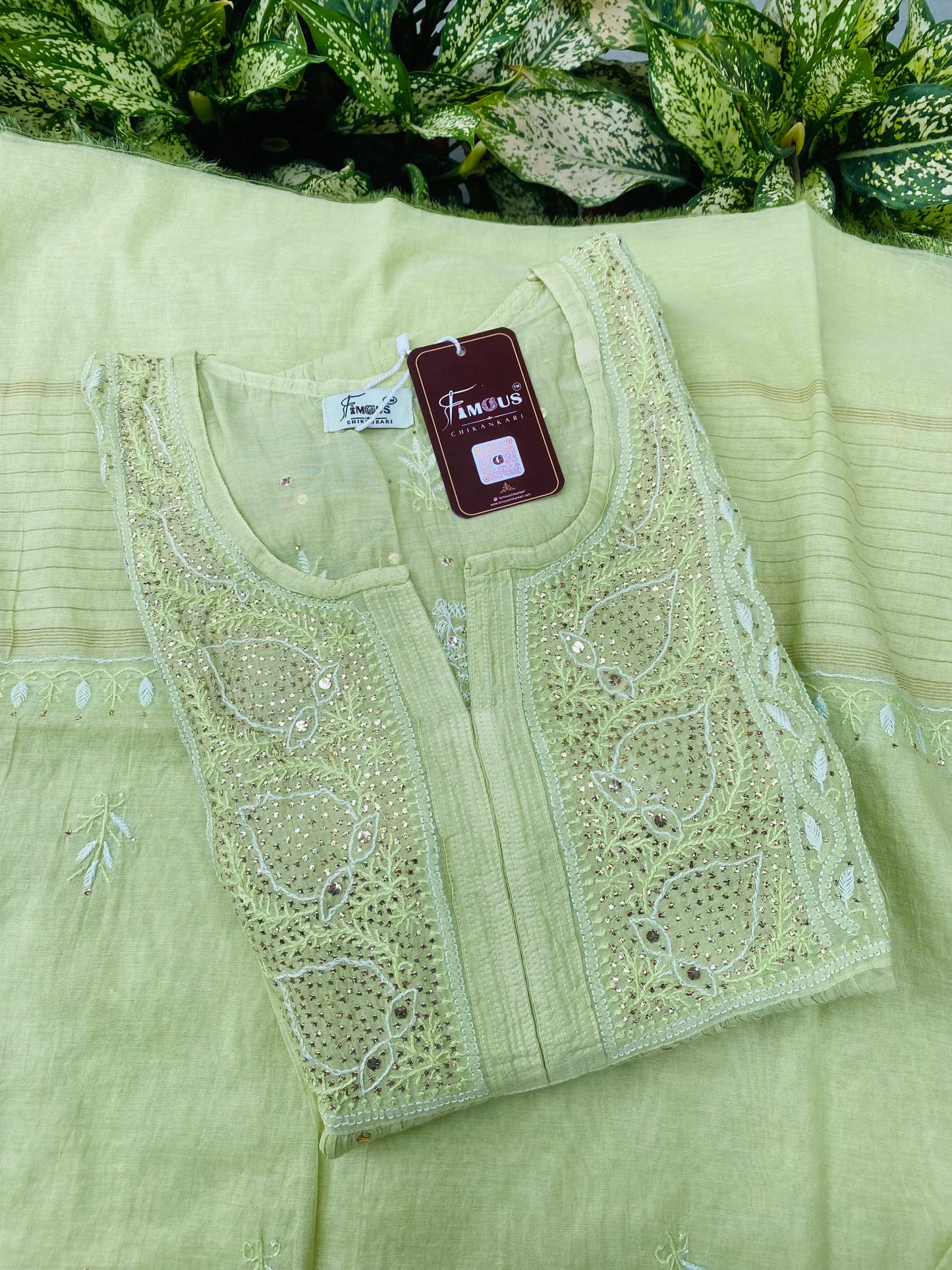 Zaraish Chikankari Semi-Stitched Mul Chanderi Gown With Dupatta-Pista Green