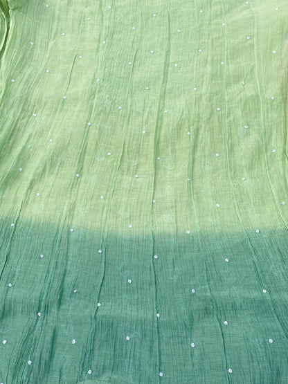 Hiba Green Ombre Chikankari Anarkali & Dupatta Set