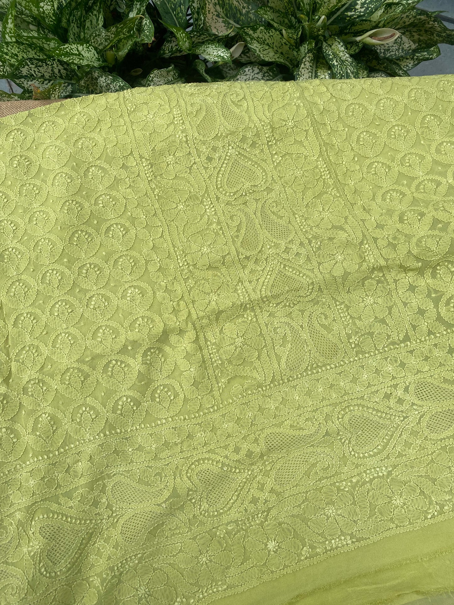 Noorain – Premium Viscose Georgette Chikankari Unstitched Suit(Light Mehndi)